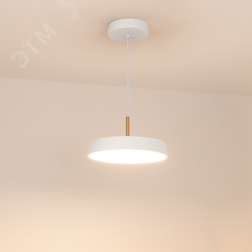 Светильник SP-ELEGANT-R300-17W Warm3000 WH 120 deg 230V IP20 металл 3 года - фото 3