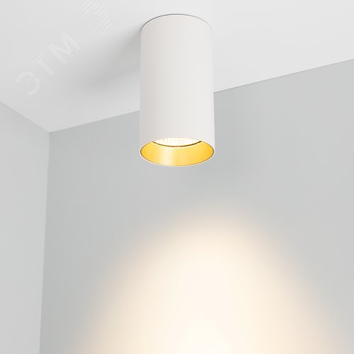 Светильник накладной SP-POLO-R85-1-15W Warm White 40deg White Gold Ring IP20 металл 3 года - фото 2