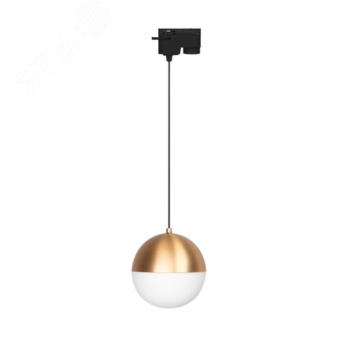 Светильник LGD-EMISFERO-TRACK-HANG-2TR-R150-11W Day4000 (GD, 170 deg, 230V) (Arlight, IP20 Металл, 3 года) (035941) - Arlight