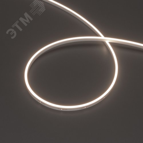 Лента герметичная MOONLIGHT-SIDE-M196-03x06мм 24V Day4000 7.2 W/m, IP54, 2216, 5м, wire x2 вывод кабеля прямой - Arlight