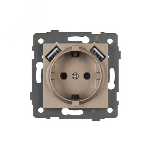 Механизм розетки с USB зарядкой SCT-MUAA-PL-GD-V 250V, 16A - фото 3
