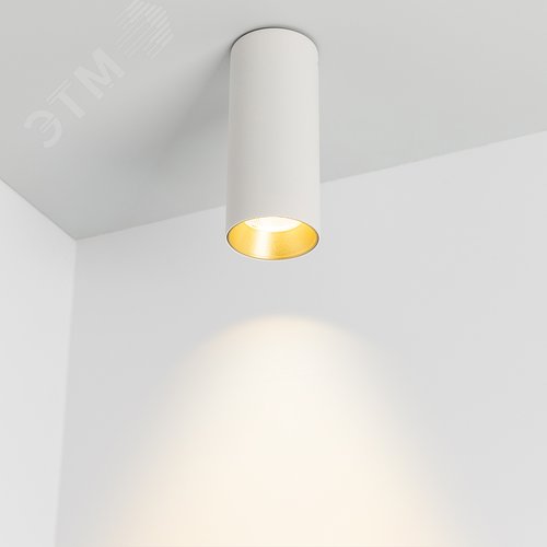 Светильник SP-POLO-SURFACE-R65-8W Day4000 (WH-GD, 40 deg) (ARL, IP20 Металл, 3 года) 9