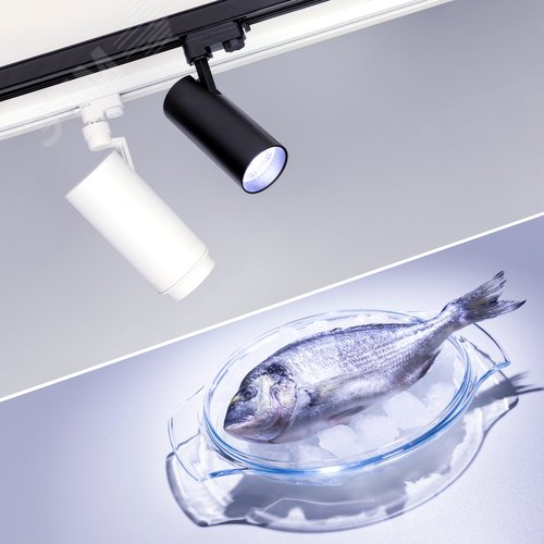 Экран ARH-BENT-W11-2000 Frost (ARL, Пластик) 8