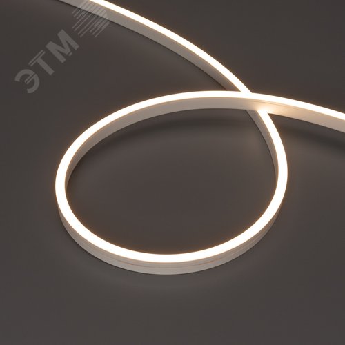 Лента герметичная MOONLIGHT-SIDE-A120-06x12мм 24V Warm3000 9.6 W/m, IP65, 5м, wire x2 вывод кабеля прямой - Arlight