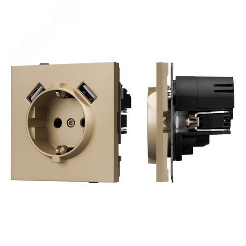 Механизм розетки с USB зарядкой SCT-TENDO-MUAA-SFPL-GD 230V, 16A, Золото светлое, 1 пост - Arlight