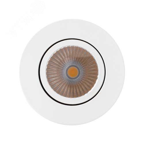 Светильник SP-FOCUS-R90-9W Day White (ARL, IP20 Металл, 3 года) - фото 3