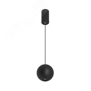 Светильник SP-ELEMENTA-ORB-R100-9W Day4000 (BK, 39 deg, 230V) (ARL, IP40 Металл, 3 года) - Arlight