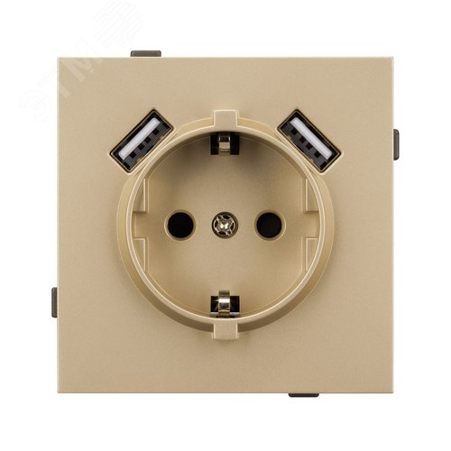 Механизм розетки с USB зарядкой SCT-TENDO-MUAA-SFPL-GD 230V, 16A, Золото светлое, 1 пост - фото 3