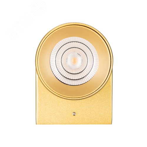Светильник SP-SPICY-WALL-TWIN-S180x72-2x6W Day4000 (GD, 40 deg) (, IP20 Металл, 3 года) - фото 3