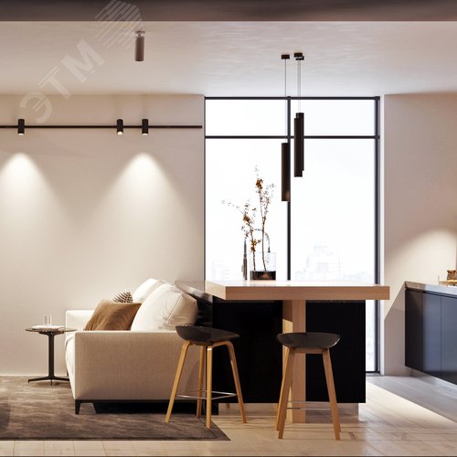 Цилиндр накладной SP-POLO-R85S Silver (1-3) (IP20 металл, 3 года) 5