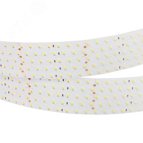 Лента RT 2-2500 24V White6000 5x2 (2835, 875 LED, LUX) (019082(B))