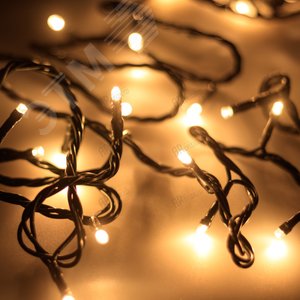 Гирлянда ARD-STRING-HOME-5000-GREEN-50LED-FLASH WARM (230V, 3.5W) (ARDCL, IP20) (025765)