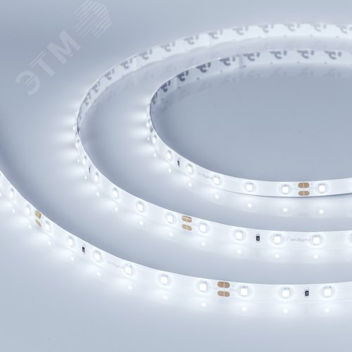 Лента светодиодная 7,2 Вт/м 24В IP65 10000K 60LED/м RT/RTW-A60-8mm SMD 2835 5 м - Arlight