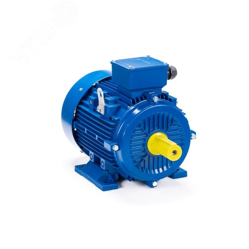 Электродвигатель 250M4-SDN- IM B3 55/1500 (ESQ) (01.05.221690) - ESQ