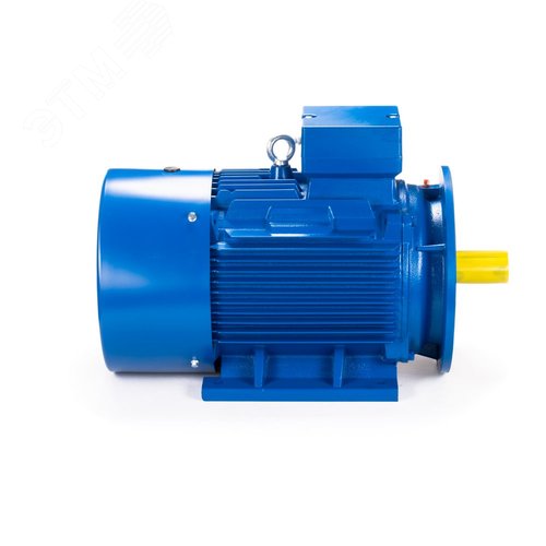 Электродвигатель 180M4-SDN-IM B35 18.5/1500 (ESQ) (01.05.221621) - фото 4
