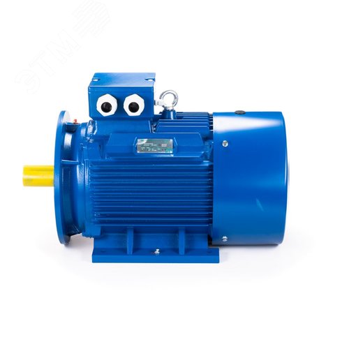 Электродвигатель 180M4-SDN-IM B35 18.5/1500 (ESQ) (01.05.221621) - фото 10
