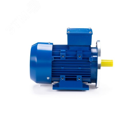 Электродвигательобщепромышленный DINESQ           71B2-SDN-0.55/3000 B35 (01.05.220485) 4