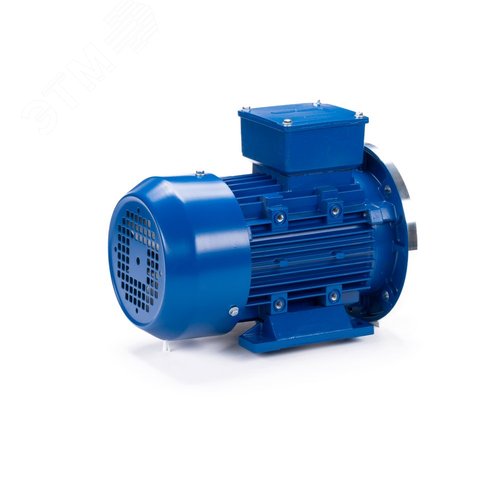 Электродвигательобщепромышленный DINESQ           71B2-SDN-0.55/3000 B35 (01.05.220485) 5