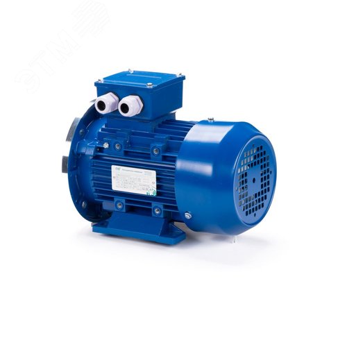 Электродвигательобщепромышленный DINESQ           71B2-SDN-0.55/3000 B35 (01.05.220485) 9