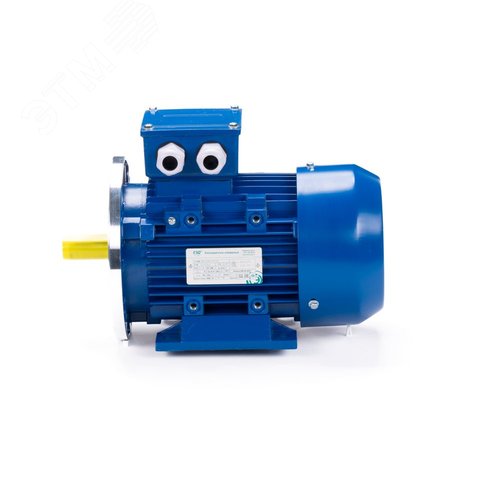 Электродвигательобщепромышленный DINESQ           71B2-SDN-0.55/3000 B35 (01.05.220485) 10