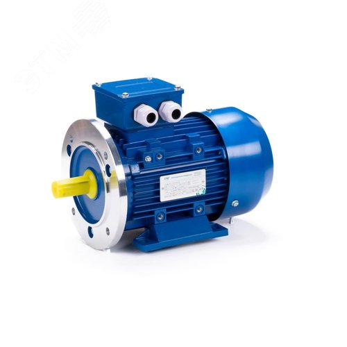 Электродвигательобщепромышленный DINESQ           71B2-SDN-0.55/3000 B35 (01.05.220485) 11