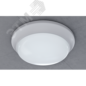 Светильник светодиодный ДПБ-01-ПП-24-WH-4К-IP65 4