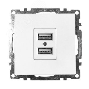 Розетка 1-местная б/з  и с USB, серия Катрин, белый, Stekker (GLS10-7115-01) - STEKKER
