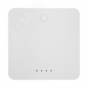 Шлюз ZigBee (Powerswitch-ZGW) - Sibling