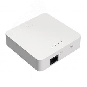 Шлюз ZigBee (Powerswitch-ZGW) - фото 2
