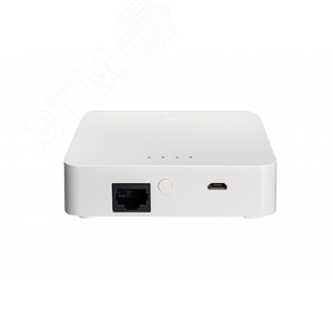 Шлюз ZigBee (Powerswitch-ZGW) - фото 3