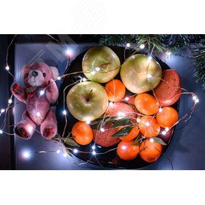 Умная новогодняя гирлянда, 5м. (Powerlite-SG) - фото 2
