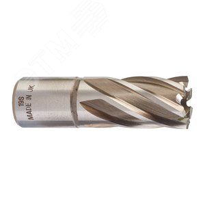 Фреза кольцевая D19х30 мм (4932343275) - Milwaukee