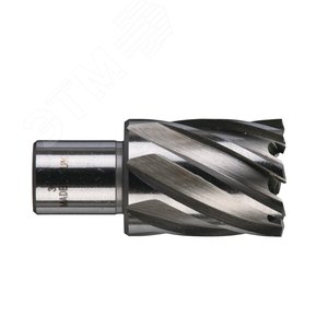 Фреза кольцевая D30х30 мм (4932343286) - Milwaukee