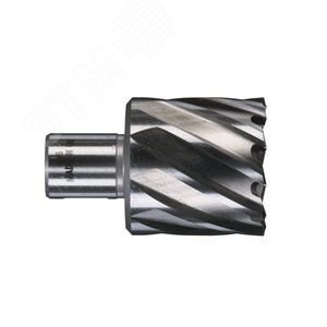 Фреза кольцевая D40X30 мм (4932371749) - Milwaukee