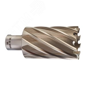 Фреза кольцевая D38х50 мм (4932371765) - Milwaukee