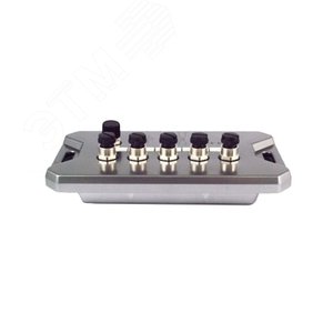 Коммутатор неуправляемый 5 M12х10/100/1000BaseT,кодирование A (1P1EMG8305A001G) - Atop