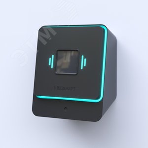 Считыватель бесконтактный вен ладоней PalmJet BOX - BioSmart