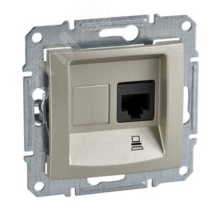 Sedna Розетка компьютерная RJ45 категория 5е в    рамку титан (SDN4300168) - Schneider Electric