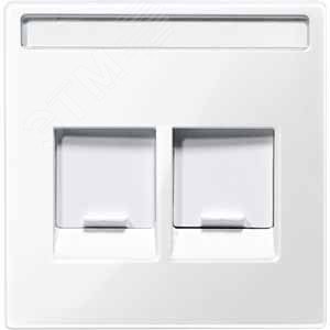 ЦЕНТ.ПЛ.Д/МОДУЛ.ШТЕПСЕЛ.РАЗ-В,2 ПОСТ.БЕЛ 6