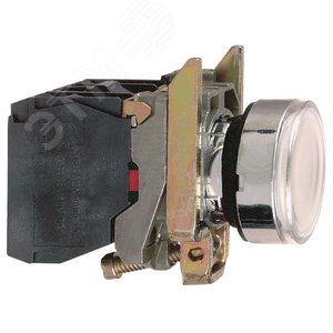 Кнопка 22мм ДО 250В с возвратом с подсветкой 4