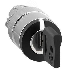 Головка для переключателя с ключом (ZB4BG8) 7