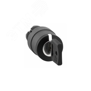Головка переключателя с ключом (ZB5AG05) 8