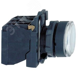 Кнопка 22мм 48-120В белая с подсветкой (XB5AW31G5) 4