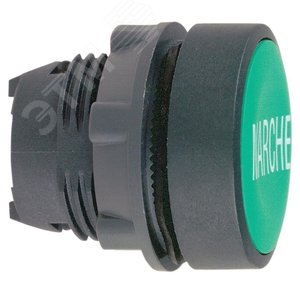 ГОЛОВКА ДЛЯ КНОПКИ ZB5AA342 | ZB5AA342 | Schneider Electric 4