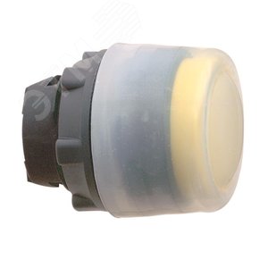 ГОЛОВКА ДЛЯ КНОПКИ ZB5AP5 | ZB5AP5 | Schneider Electric 4