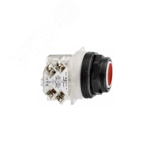 Кнопка 30мм 6