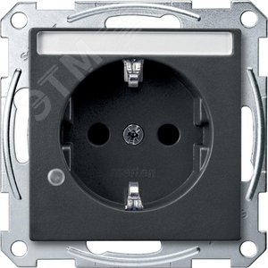 МЕХ. РОЗ. С ИНДИКАЦ. + ПОЛЕ Д. НАДПИСИ | MTN2303-0414 | Schneider Electric 2