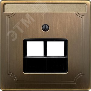 ЦЕНТР.ПЛАТА Д/МЕХ-МОВ RJ45 X2 АНТИЧ.ЛАТУНЬ | MTN292643 | Schneider Electric 2