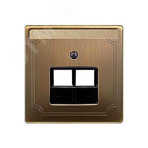 ЦЕНТР.ПЛАТА Д/МЕХ-МОВ RJ45 X2 АНТИЧ.ЛАТУНЬ | MTN292643 | Schneider Electric 7