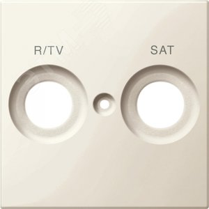 ЦЕНТ.ПЛАТА С МАРКИРОВКОЙ R/TV И SAT БЕЛ - фото 2